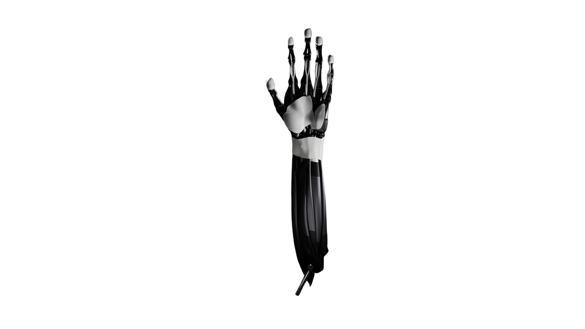 Aument Bionics contact